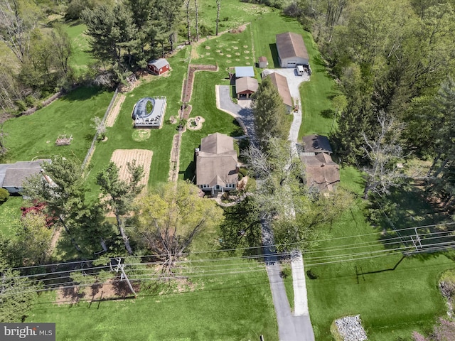 drone / aerial view