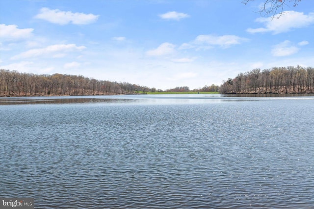 water view featuring a wooded view