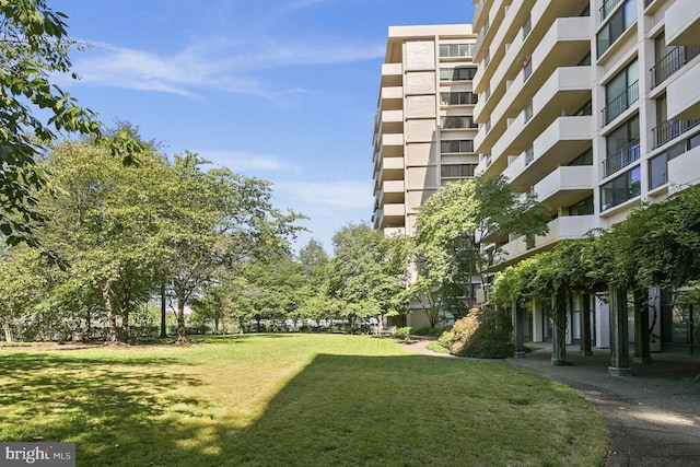 view of community featuring a lawn