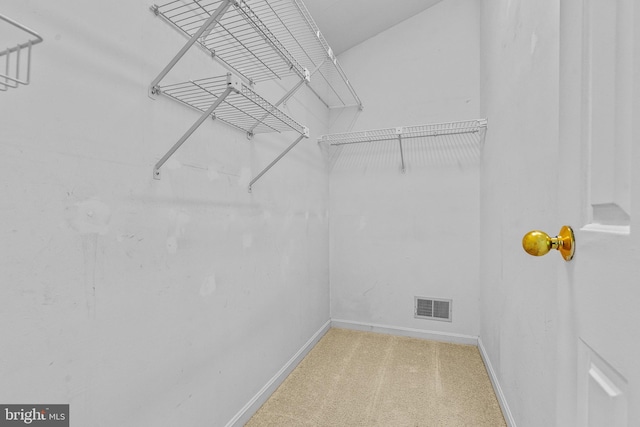 walk in closet featuring visible vents and carpet floors