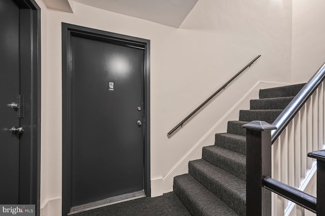 staircase with carpet floors