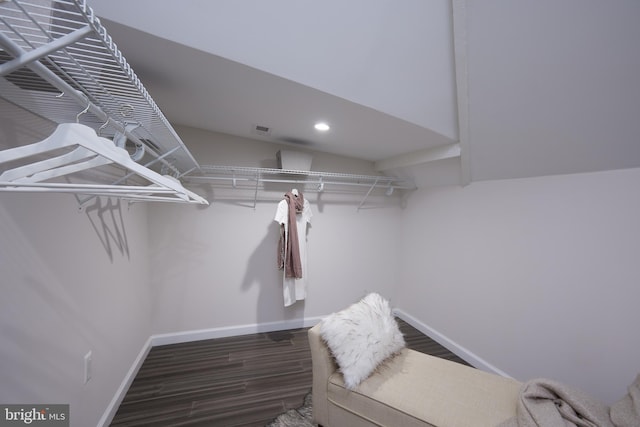 walk in closet featuring dark wood-style floors