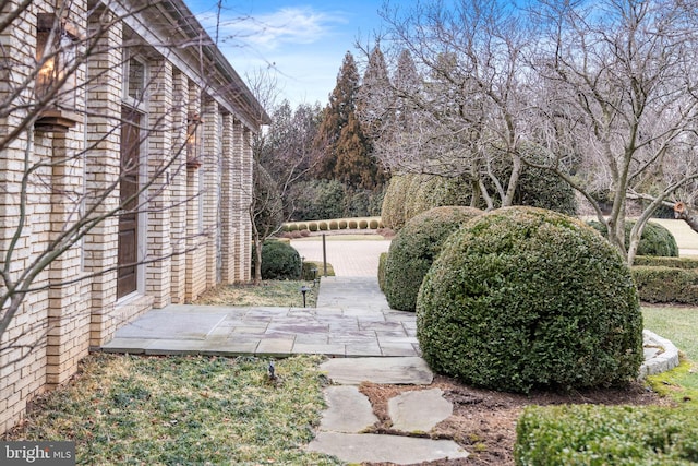 view of yard with a patio and fence