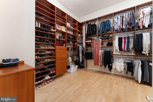 walk in closet with wood finished floors