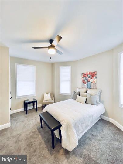 bedroom featuring carpet, multiple windows, and baseboards