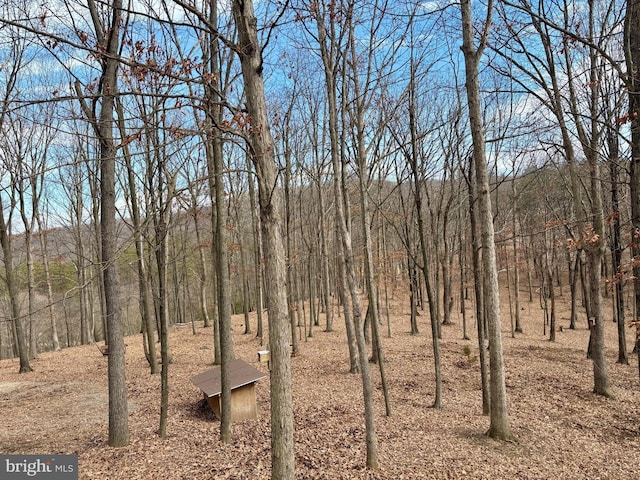 view of landscape with a view of trees