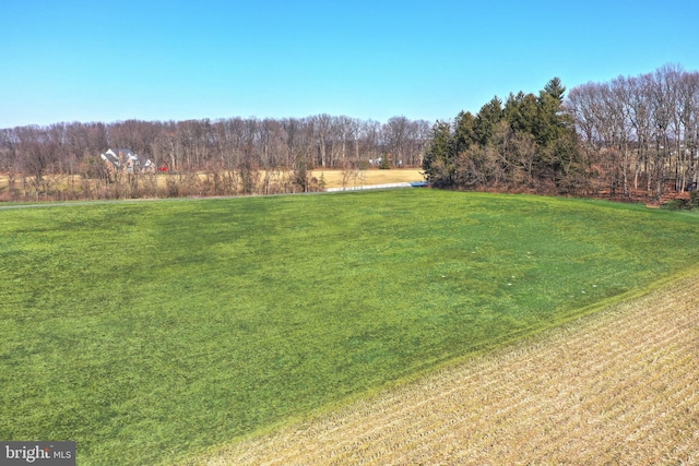 view of yard with a rural view