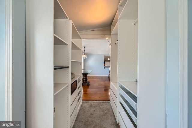 spacious closet featuring light carpet