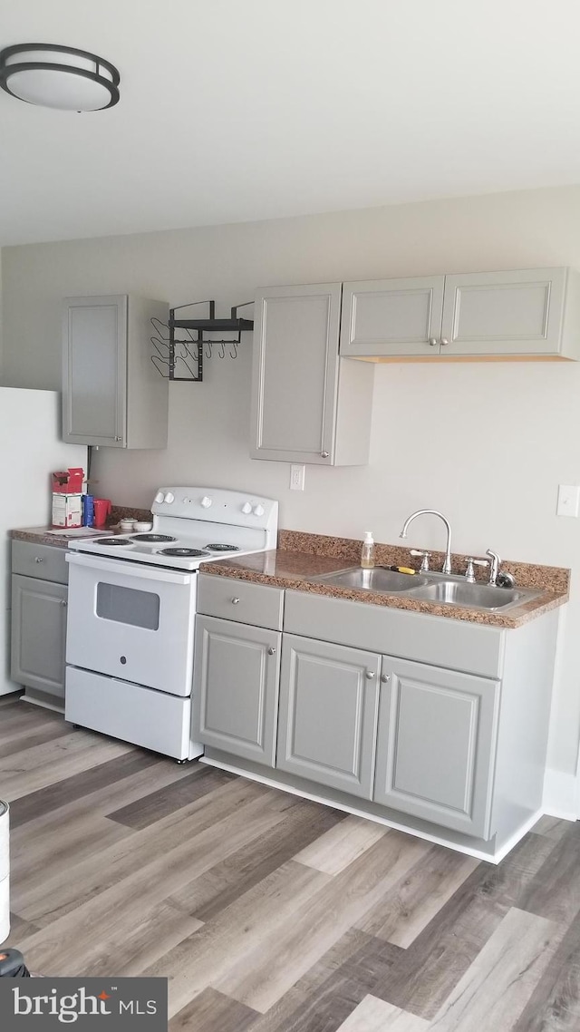 kitchen with white electric range, light wood finished floors, a sink, and gray cabinetry