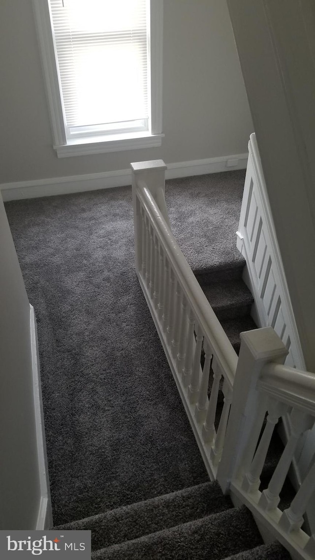 stairs with baseboards and carpet flooring