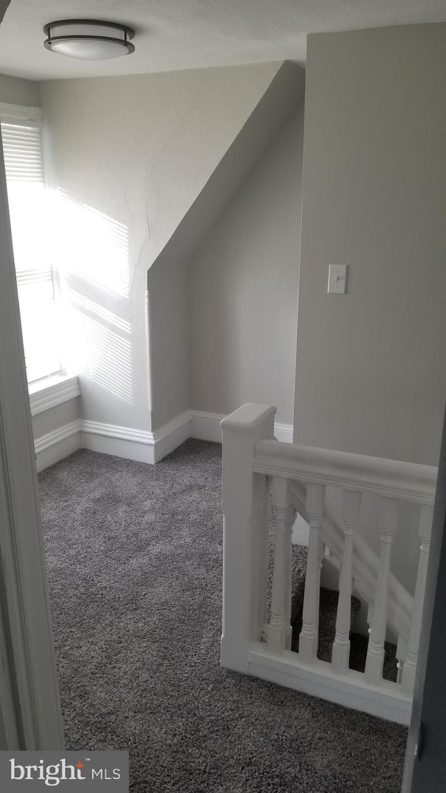 additional living space featuring carpet floors and baseboards