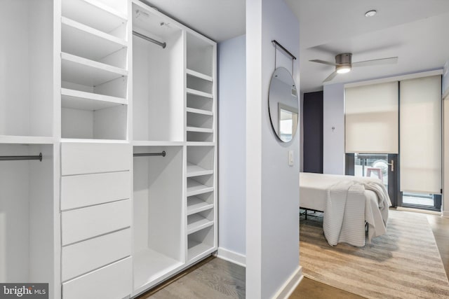 walk in closet with ceiling fan and wood finished floors