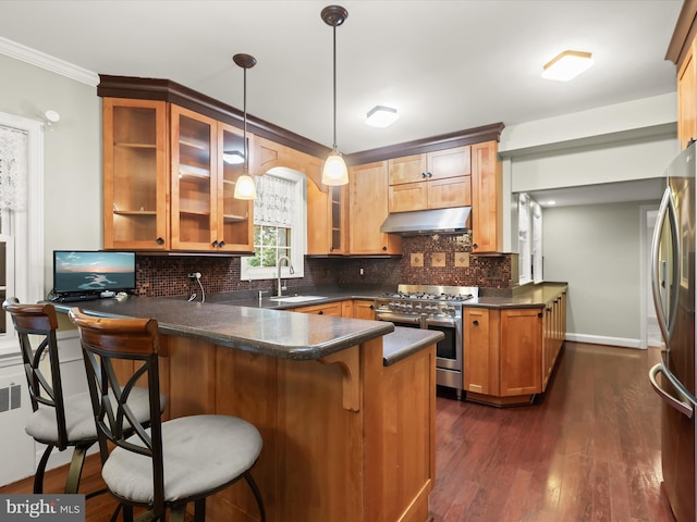 11116 Liberty Rd, Owings Mills, MD 21117 - kitchen featuring stainless steel appliances, a peninsula, under cabinet range hood, backsplash, and glass insert cabinets