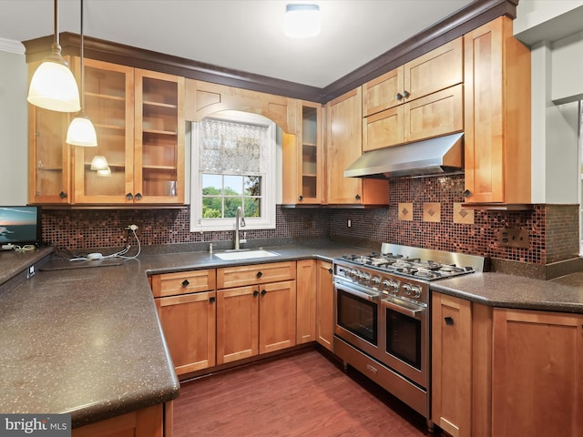 11116 Liberty Rd, Owings Mills, MD 21117 - kitchen with range with two ovens, under cabinet range hood, a sink, dark countertops, and backsplash