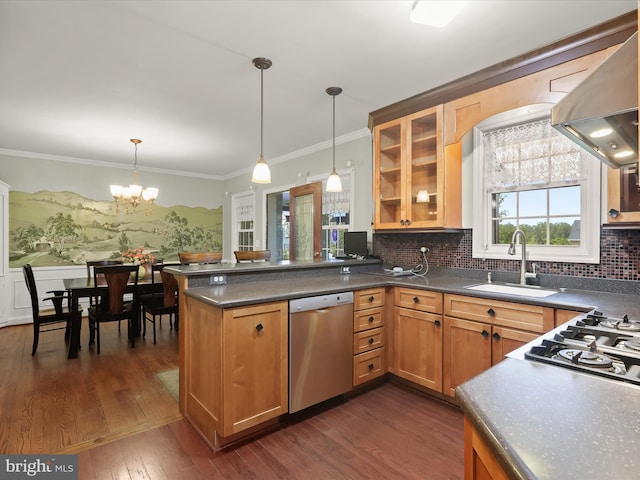 11116 Liberty Rd, Owings Mills, MD 21117 - kitchen with stainless steel dishwasher, a sink, ventilation hood, a peninsula, and hanging light fixtures