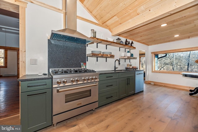 kitchen with appliances with stainless steel finishes, ventilation hood, a sink, and green cabinetry