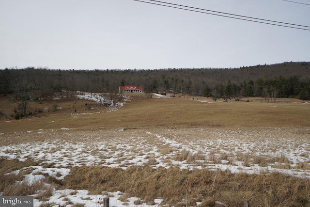 view of nature featuring a forest view