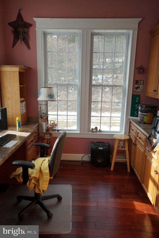 office featuring dark wood-style floors and a wealth of natural light