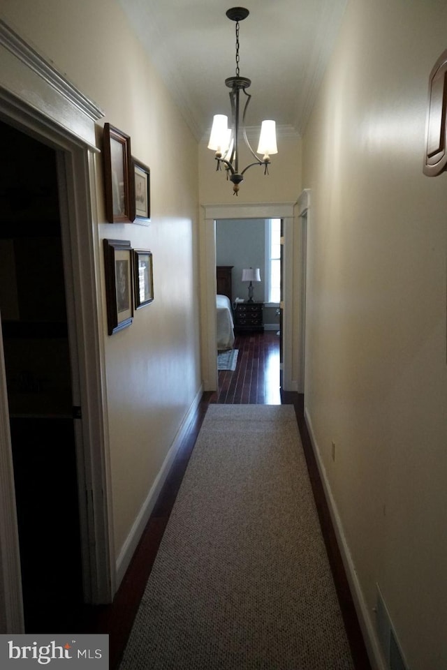 corridor with visible vents, an inviting chandelier, ornamental molding, dark wood-type flooring, and baseboards