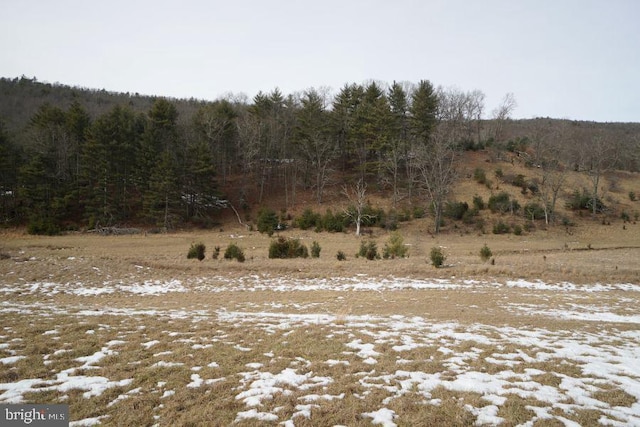 view of landscape featuring a view of trees and a rural view