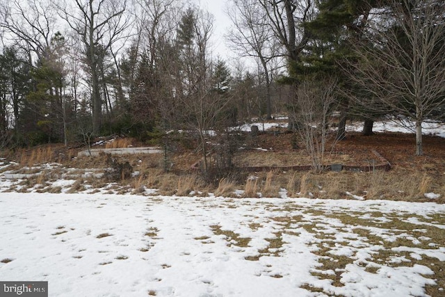 view of yard covered in snow