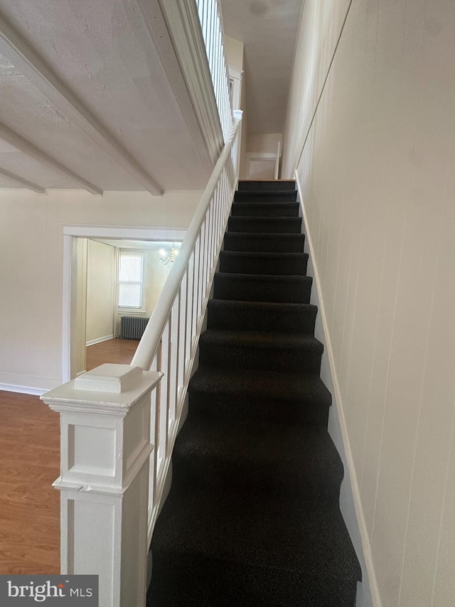 staircase featuring wood finished floors and radiator