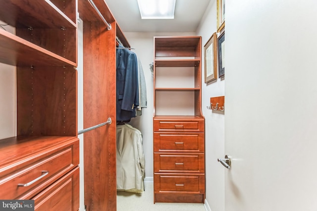 view of spacious closet