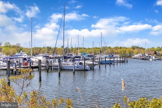 dock area with a water view