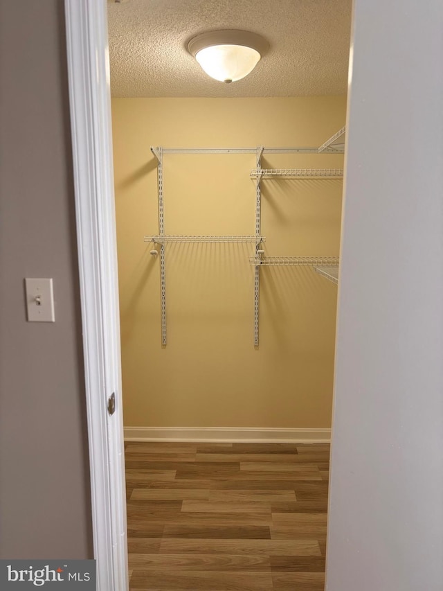 spacious closet featuring wood finished floors