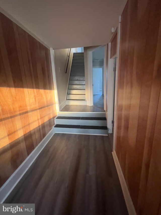 stairway featuring wood walls and wood finished floors