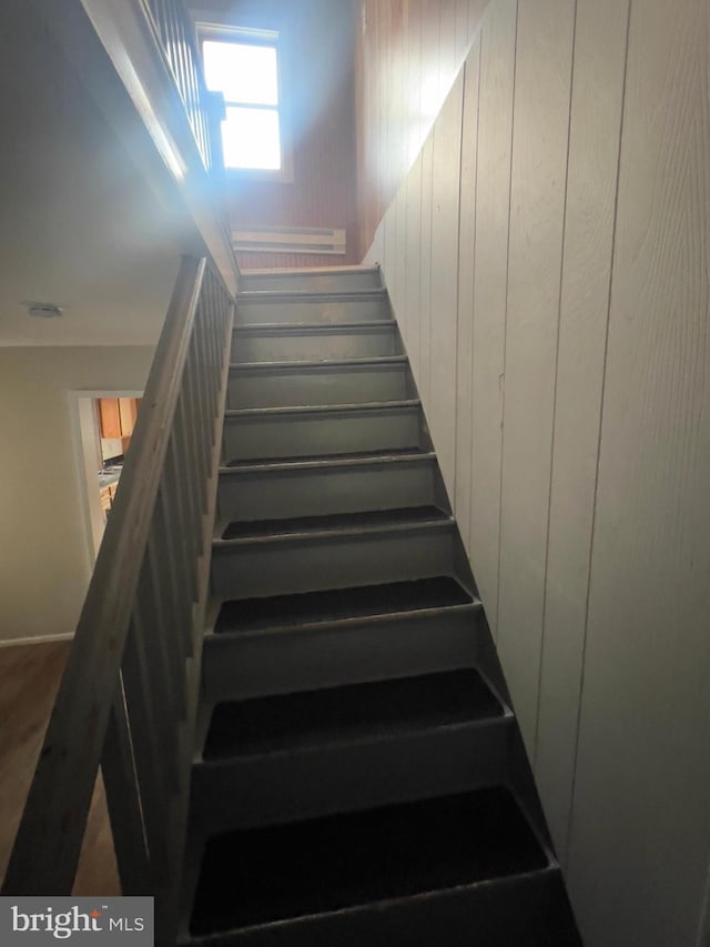 stairway with wooden walls