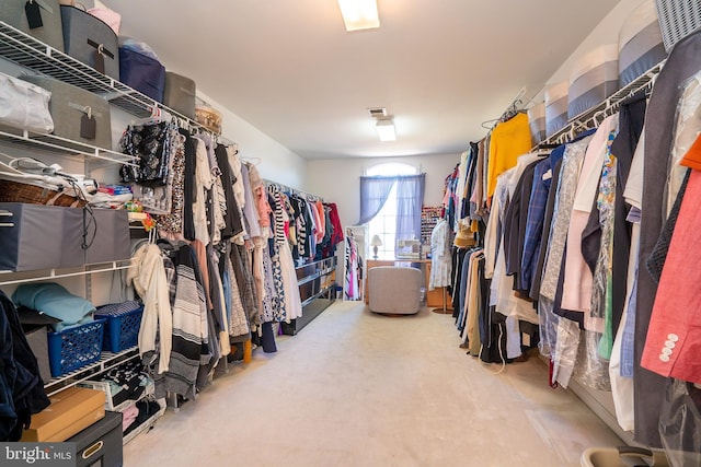 view of spacious closet