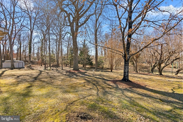 view of yard with a storage shed and an outdoor structure