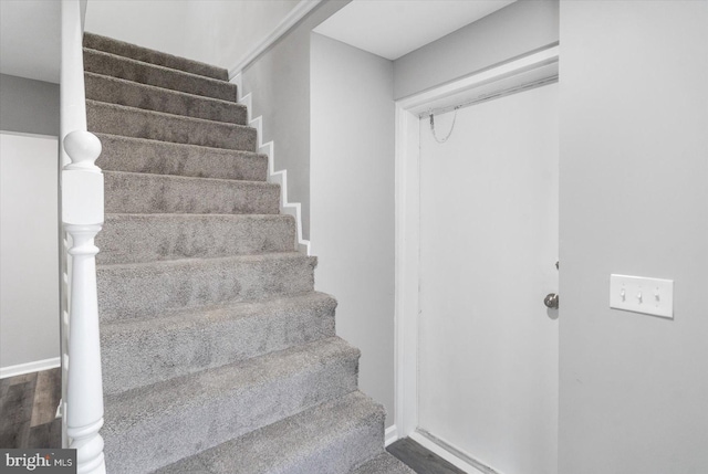 stairway featuring wood finished floors