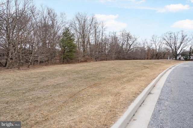 view of road with curbs