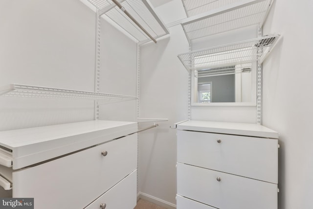 view of spacious closet