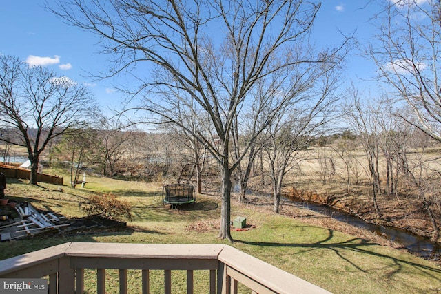 view of yard with a trampoline