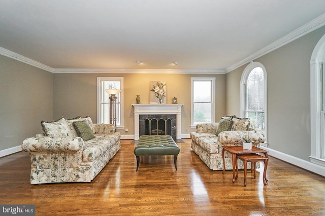 living room with a fireplace, wood finished floors, and baseboards