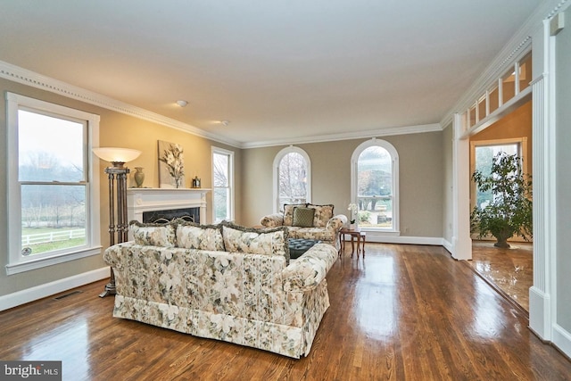 living area with dark wood-type flooring, a healthy amount of sunlight, and visible vents