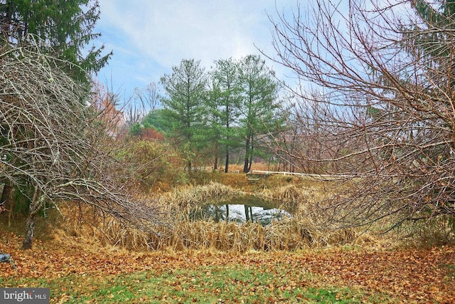 view of landscape