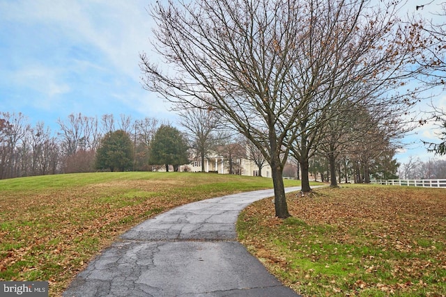 view of community featuring a yard