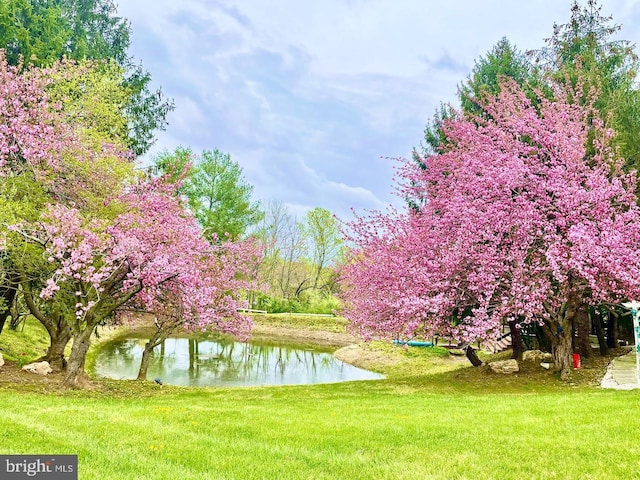 view of home's community featuring a yard and a water view