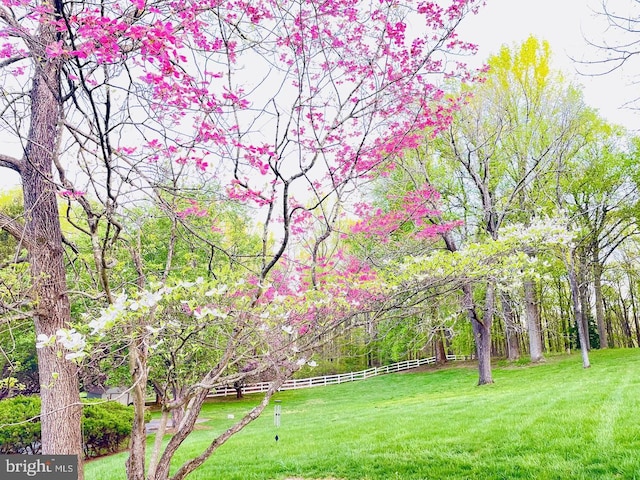 surrounding community featuring a lawn and fence