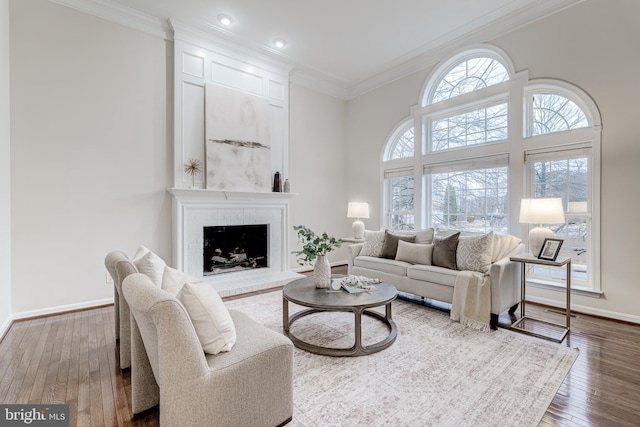 living room featuring ornamental molding, wood-type flooring, a fireplace, and baseboards