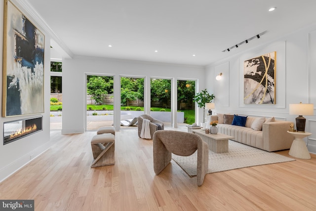 5914 Woodley Rd, Mclean, VA 22101 - living area featuring wood finished floors, crown molding, a glass covered fireplace, track lighting, and recessed lighting
