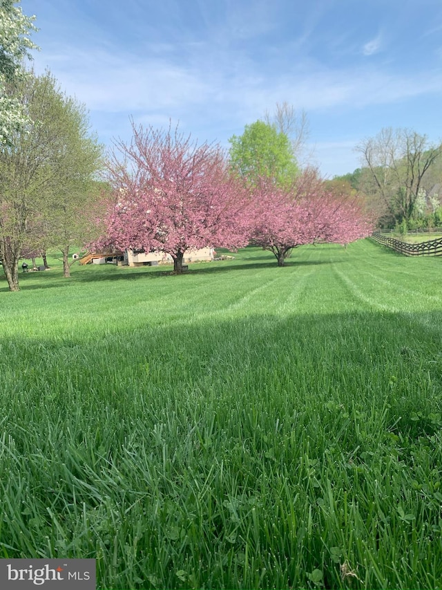 view of yard with a rural view