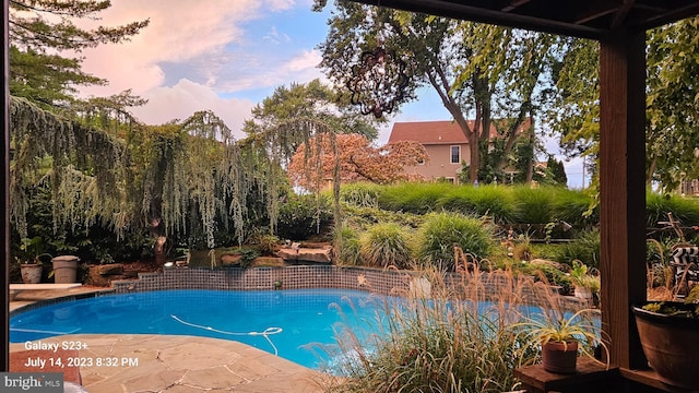 view of outdoor pool