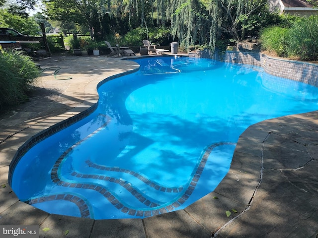 pool featuring a patio and a diving board