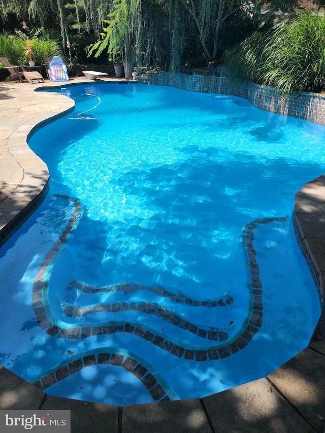 pool with a diving board