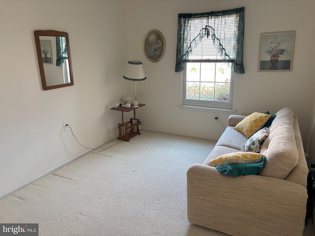 sitting room with carpet floors